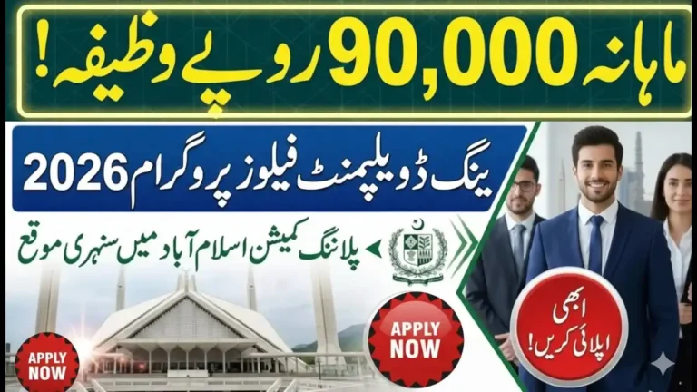 Earn Rs. 90,000 Per Month with Pakistan’s Young Development Fellows Program
