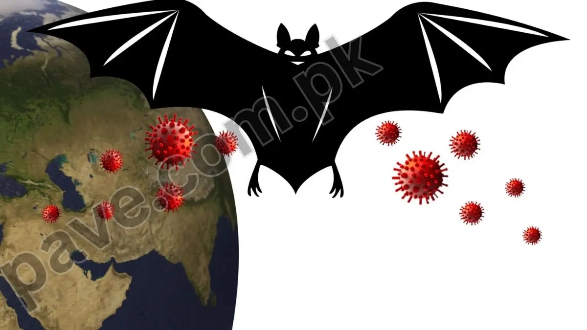 Nipah Virus Alert: Key Warning Signs to Watch Amid Recent Outbreak