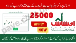 8171 Check Online 25000 Ehsaas Program 2026 – Complete Information 11 8171 Check Online 25000 Ehsaas Program 2026 – Complete Information