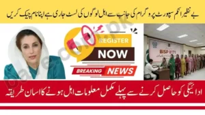 BISP 8171 February 2026 Payment List Released – CNIC Check Online 8 BISP 8171 February 2026 Payment List Released – CNIC Check Online