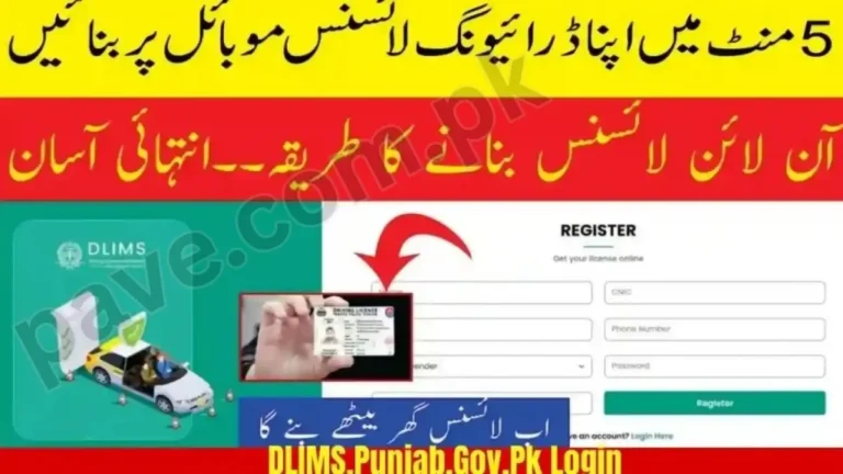 Easy Step By Step Guide to Get Driving License Online in Pakistan 2026