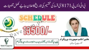 Breaking: New Payment 8171 Scheme Offers 13,500 for Women: A Game-Changer for Mobile Wallets in Pakistan 3 Breaking: New Payment 8171 Scheme Offers 13,500 for Women: A Game-Changer for Mobile Wallets in Pakistan