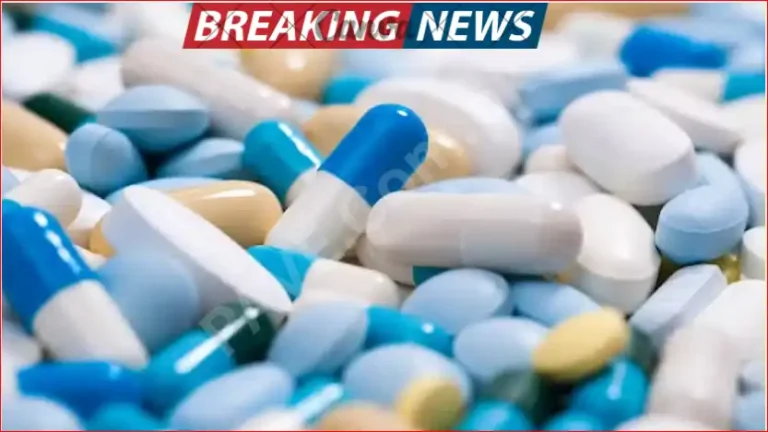 IHC Orders Action Against Factories Using Unsafe Food Packaging Materials 25 IHC Orders Action Against Factories Using Unsafe Food Packaging Materials